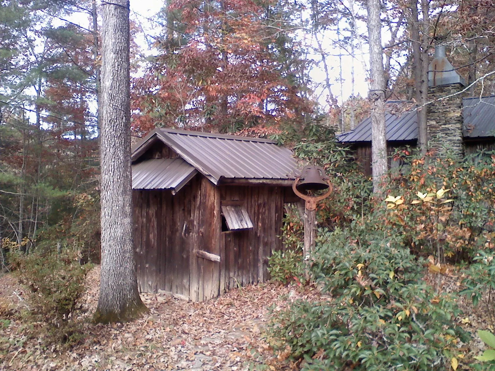 Small metal roof on a rough sawn shed in the woods in Hustonville